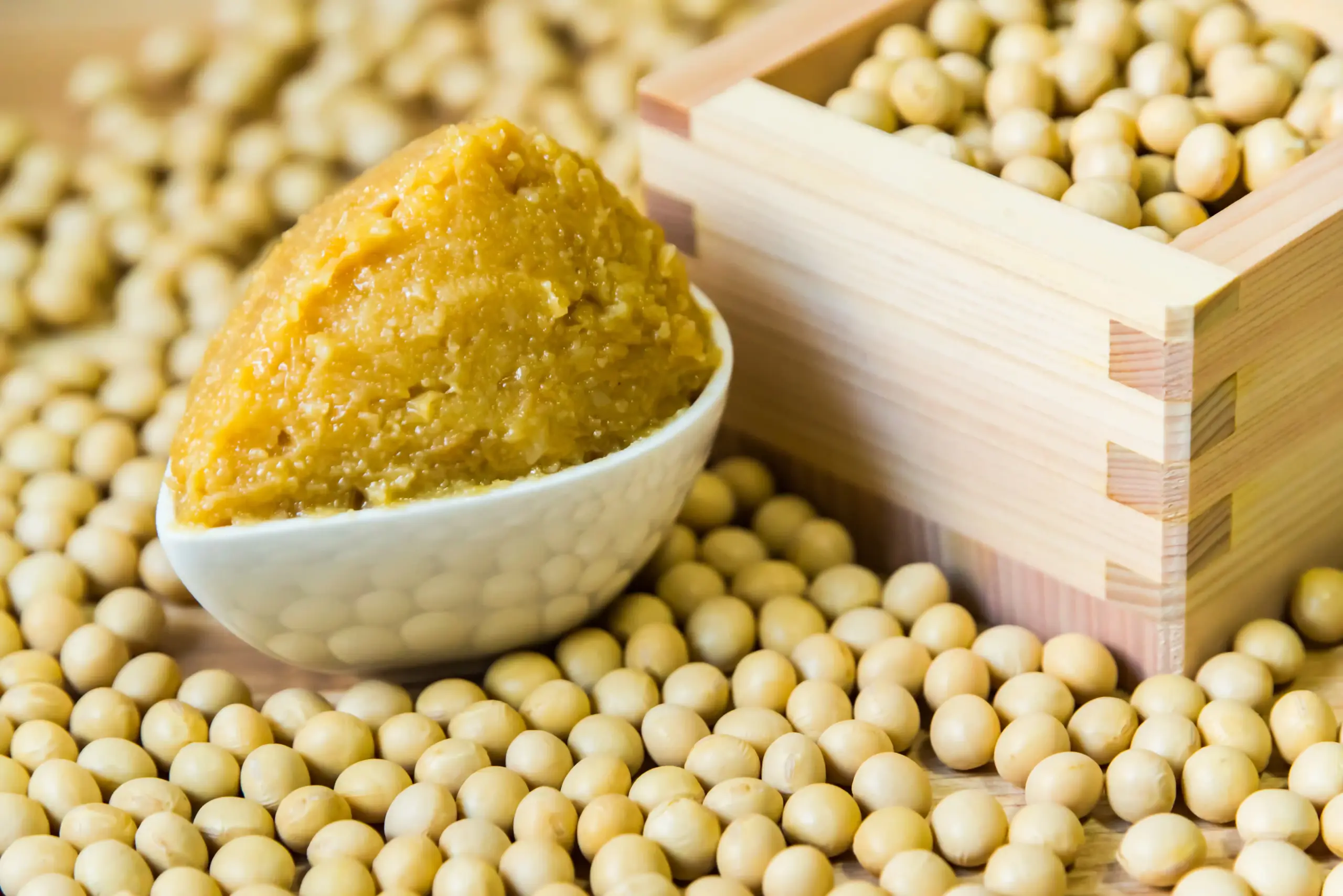 WordPressテスト用サイトを開設しました。